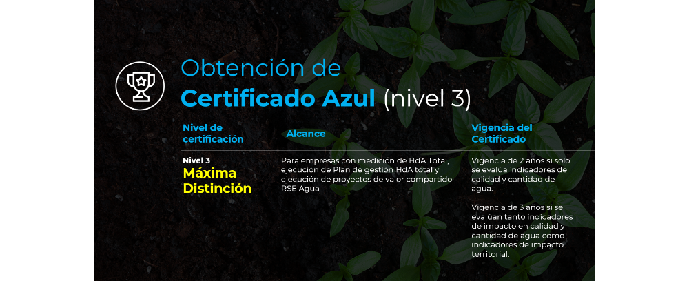 certificado_azul_3